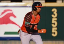 Toros aseguran empate por boleto a la final; pospuesto partido entre Gigantes y Leones