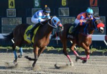 El pool de 6 paga RD$16,672.00 y el de 5 paga RD$19,030.00 en el Quinto