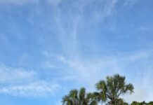 La “Caravana por la Patria 2026” convirtió el Malecón en un desfile de historia y civismo