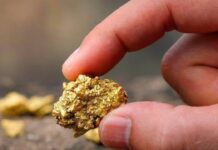 El gran saqueo del oro de la República Dominicana