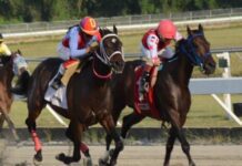 El Pool paga RD$10,740.00; jinetes Ycaza y Quevedo ganan dos carreras en el Quinto