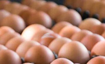 ¿Dos ricos huevos en el desayuno reducen los antojos?