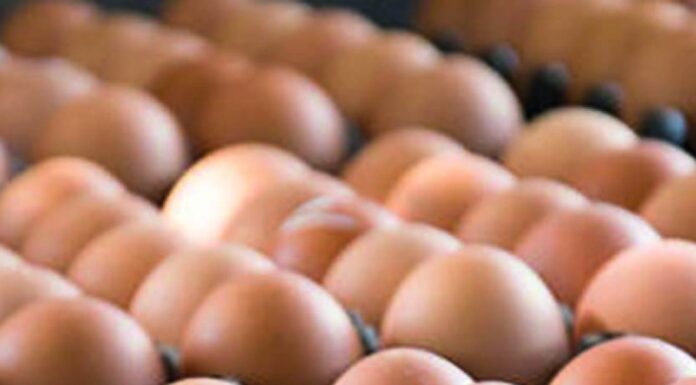 ¿Dos ricos huevos en el desayuno reducen los antojos?