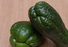 La tan ignorada Tayota: Revelación en la cocina