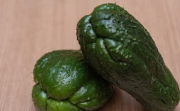 La tan ignorada Tayota: Revelación en la cocina