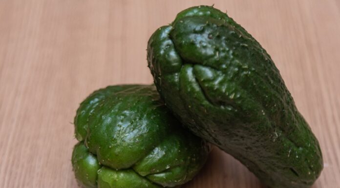 La tan ignorada Tayota: Revelación en la cocina