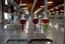 Acuerdos y diversificación en pugna por las tierras raras: ¿Es viable desbancar a China?