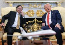 Petro y Trump elogian las conversaciones tras una amarga disputa