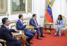 Presidenta de Venezuela evalúa proyectos gasíferos en reunión con la británica Shell