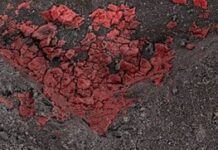 Los ‘ladrillos de la vida’ hallados en Bennu reescriben la historia de nuestros orígenes