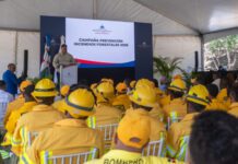 Medio Ambiente presenta balance 2025-2026 con reforestación récord y reducción de 67 % en incendios forestales