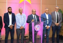 PLD: Gobierno gastó más cubriendo pérdidas eléctricas que en inversión pública