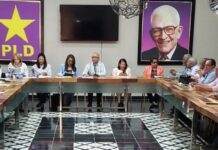 Enlaces del PLD pasan balance a la implementación de Línea Organizativa y Electoral