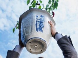 La Única Opción (Eojjeolsugaeopda)