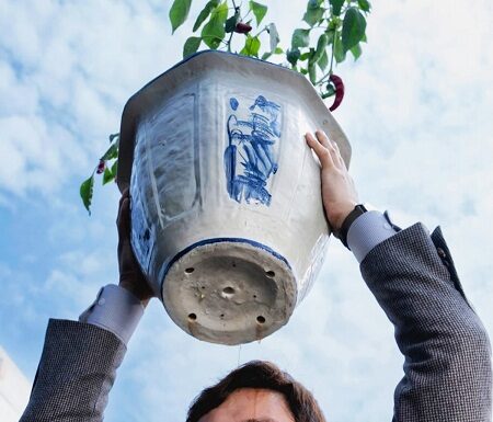 La Única Opción (Eojjeolsugaeopda)