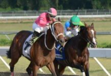 Ocho caballos se disputarán este sábado el Clásico Independencia en el Quinto