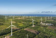 EGE Haina registra los primeros proyectos de América Latina bajo el nuevo mecanismo climático del Acuerdo de París