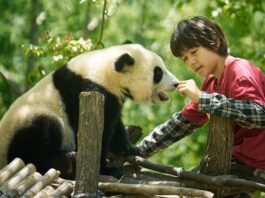 Moon, mi amigo panda (Moon le panda)