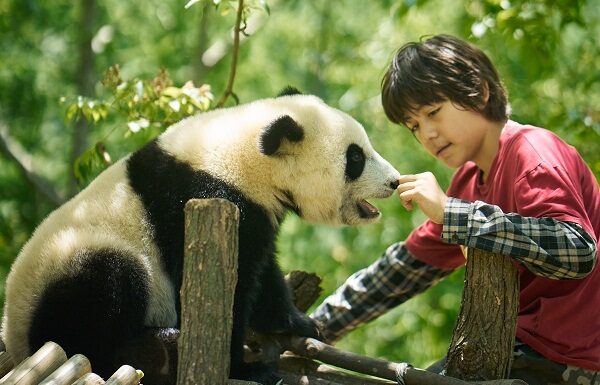 Moon, mi amigo panda (Moon le panda)