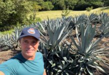 Proyecto de agave abre nueva oportunidad económica y comercial para el sur del país y la República Dominicana