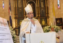 Morel Diplán critica prácticas therian por atentar contra la dignidad humana