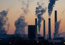 La contaminación atmosférica puede contribuir directamente al alzhéimer