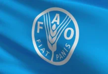 FAO advierte que degradación del suelo afecta zonas donde viven 1.600 millones de personas