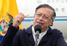 Petro mostrará a Trump “cifras contundentes” de la lucha de Colombia contra las drogas