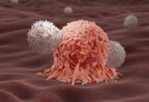 Una terapia CAR-T más sensible puede ser una estrategia contra los tumores sólidos