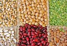 Las legumbres, de la modestia…..¡a la excelencia!