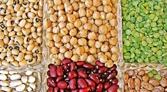 Las legumbres, de la modestia…..¡a la excelencia!