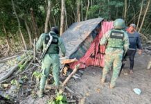 Medio Ambiente, Armada y Senpa encabezan operativos en el Parque Nacional Los Haitises