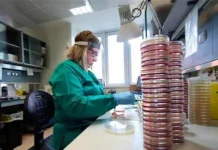 Hallan una nueva vía para intentar frenar la enfermedad de Huntington