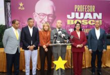 El PLD conforma comisión de consulta sobre aspirantes presidenciales