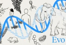 Evo 2, un nuevo modelo de IA para modelar y diseñar el código genético de la vida