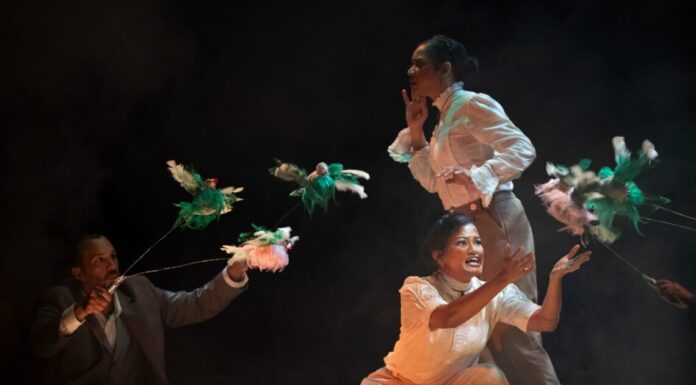 Obra sobre “Aquí a la sombra, Salomé” concluye con éxito en el Palacio de Bellas Artes