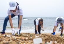 Ecohéroes Resilientes define capacitaciones y roles institucionales en su segunda mesa de trabajo