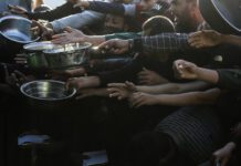 La OMS considera “marginal” la mejora en Gaza tras el alto el fuego de octubre