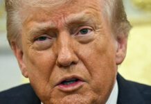 Trump llama a aliados de la OTAN “cobardes” por su actitud en guerra contra Irán