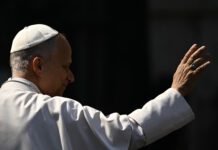 El papa anima a concienciar a donar órganos pero “con criterios justos y transparentes”