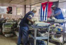 La OMS alerta sobre “preocupante” situación sanitaria en Cuba