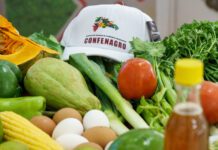 CONFENAGRO: apoyo a fertilizantes es positivo, pero se requiere un enfoque integral para la producción nacional