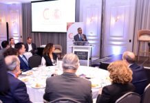 La Cámara de Comercio de España pone en agenda el futuro de la inversión energética en la República Dominicana