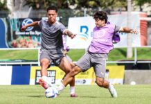 Cibao FC y Delfines el sábado por la cima de la Liguilla