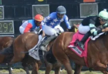 El Pool paga RD$122,948.00 en el Hipódromo Quinto Centenario