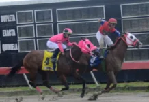 Caballo Grace From Above gana décima carrera consecutiva