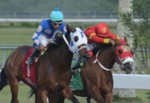 El Pool paga RD$5,056.00; Quevedo gana dos carreras en el Quinto