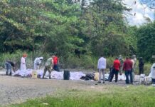 El Inacif quema más de 8 toneladas de drogas en primer trimestre del año 2026