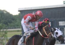 El Pool paga RD$21,776.00; jinetes Justo y Fernández ganan 2 carreras