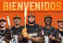 Toros firman a Phillips Valdez, Julián Fernández, Dawell Lugo, Pedro Severino y Julio E. Rodríguez
